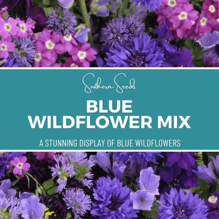 Blue Wildflower Seed Mix