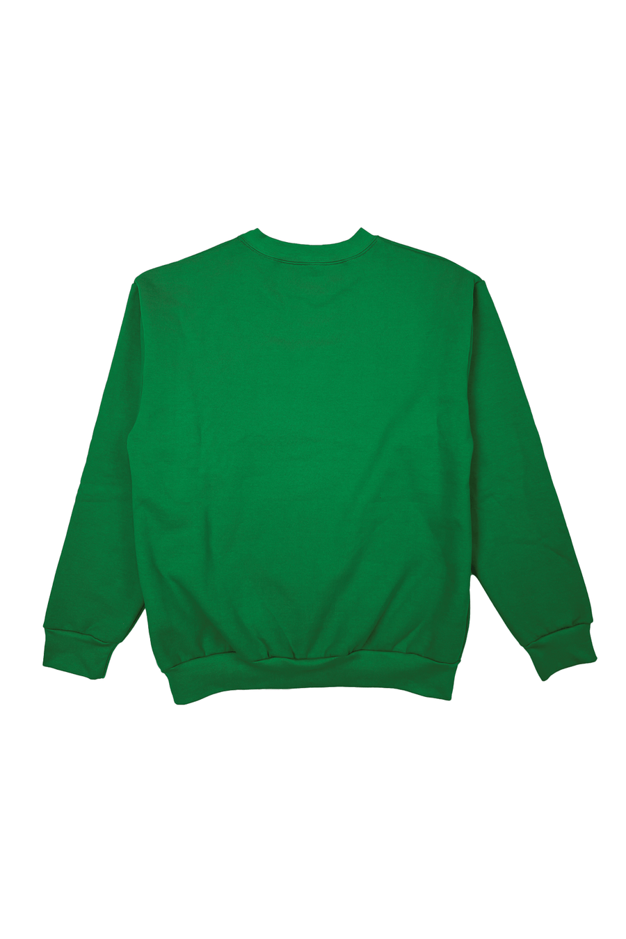 Birds Felt Crewneck Sweatshirt: green sweatshirt, back view.
