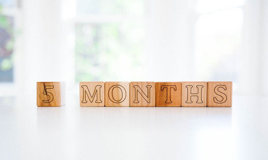 Pregnancy & Baby Milestone Blocks: 16-Piece Maple Set