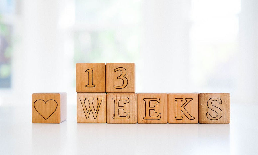 Pregnancy & Baby Milestone Blocks: 16-Piece Maple Set