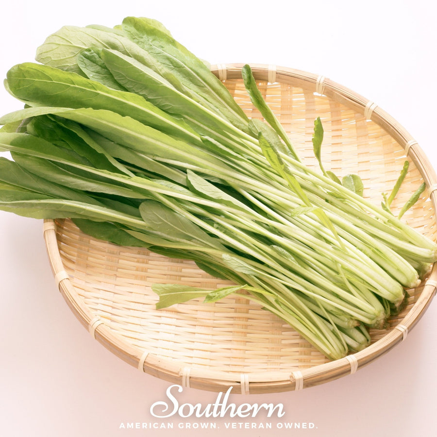 Mibuna Chinese Cabbage