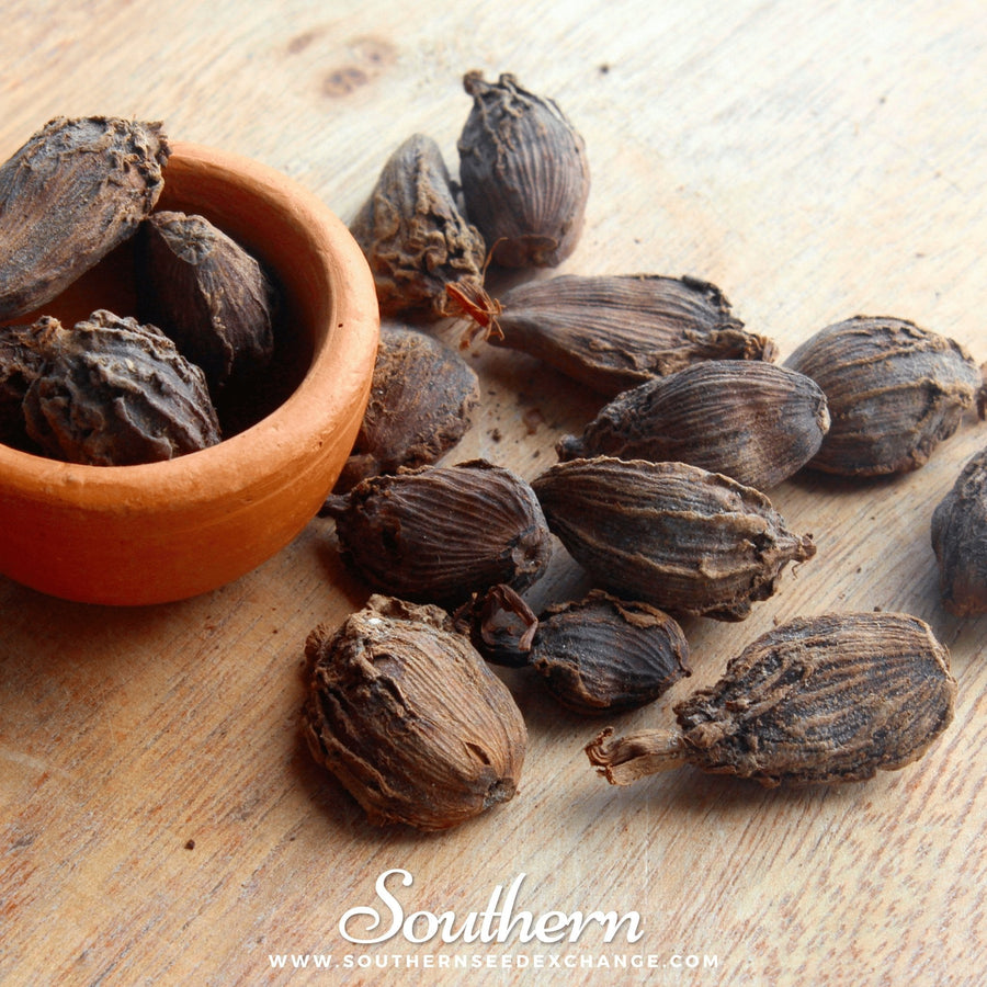 Black Cardamom