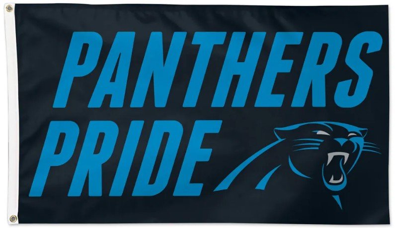 Carolina Panthers American-made 3' x 5' football flag