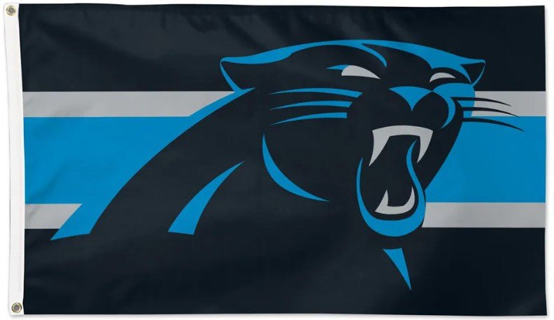 Carolina Panthers outdoor NFL flag with team graphics, made in USA