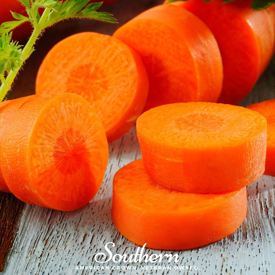 Chantenay Red Core Carrot