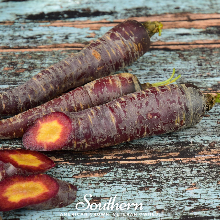 Cosmic Purple Carrot – 250 Seeds