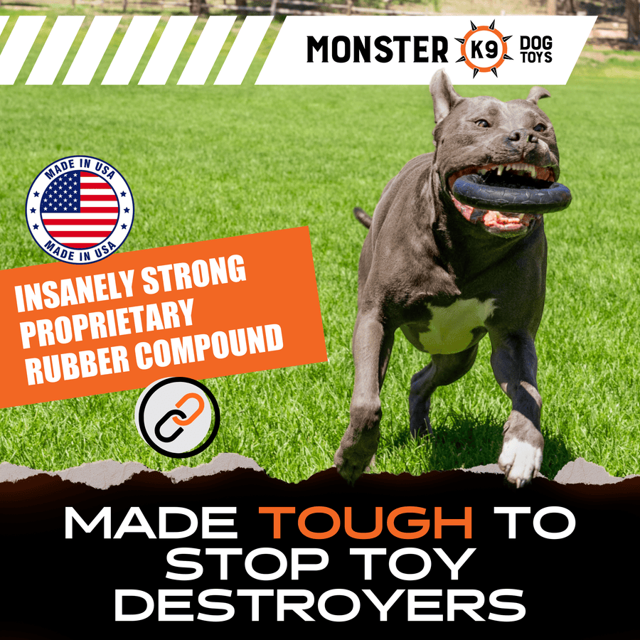 Dog on grass holding the black Monster K9 Chew Ring