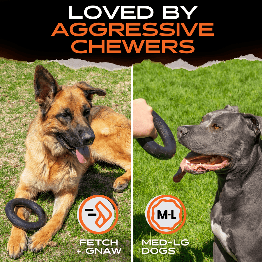 German Shepherd and gray dog with a black rubber Chew Ring
