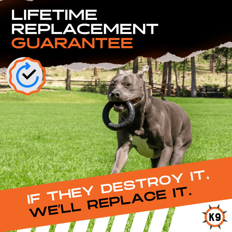 Dog carrying a black Chew Ring beside a lifetime guarantee graphic