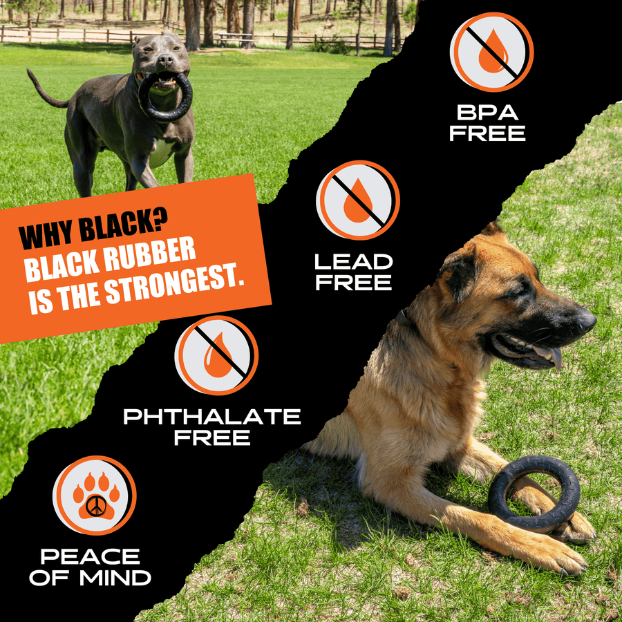 Dogs holding a black Chew Ring beside supplier material claims