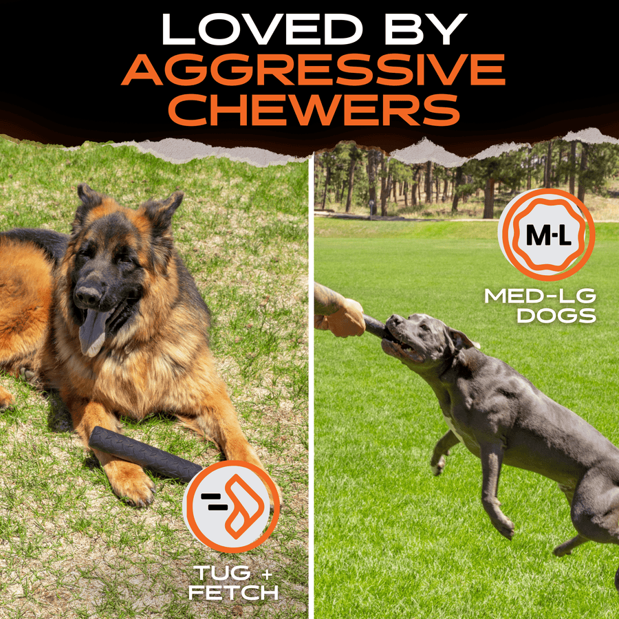 German Shepherd and gray dog playing with a black Chew Stick