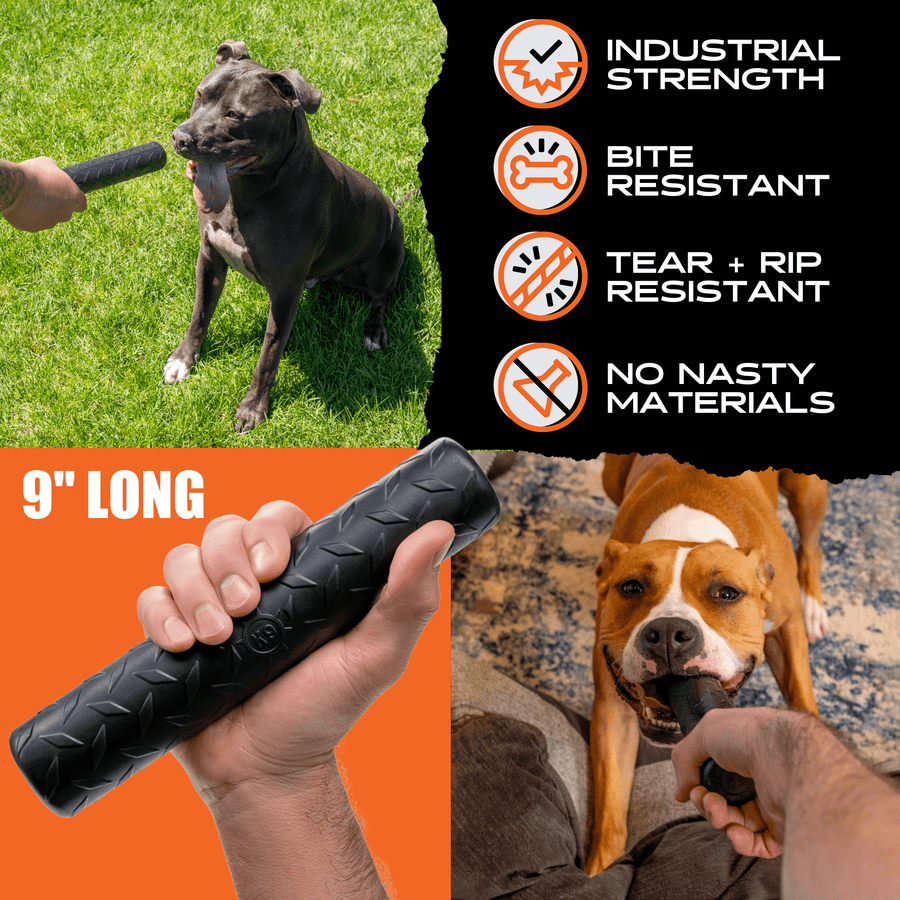 Chew Stick size graphic showing a 9-inch length and dogs at play