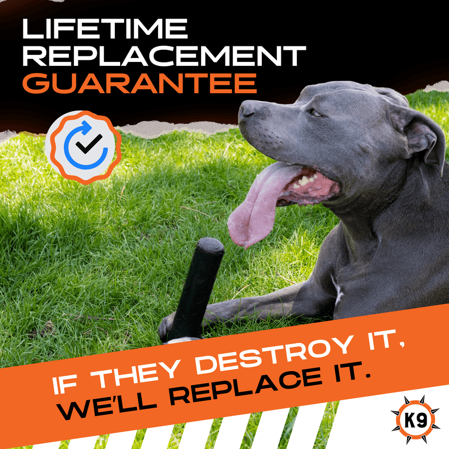 Gray dog beside a black Chew Stick and a lifetime guarantee graphic