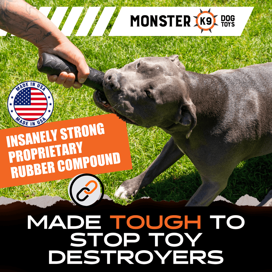Dog gripping the black Chew Stick during an outdoor tug game