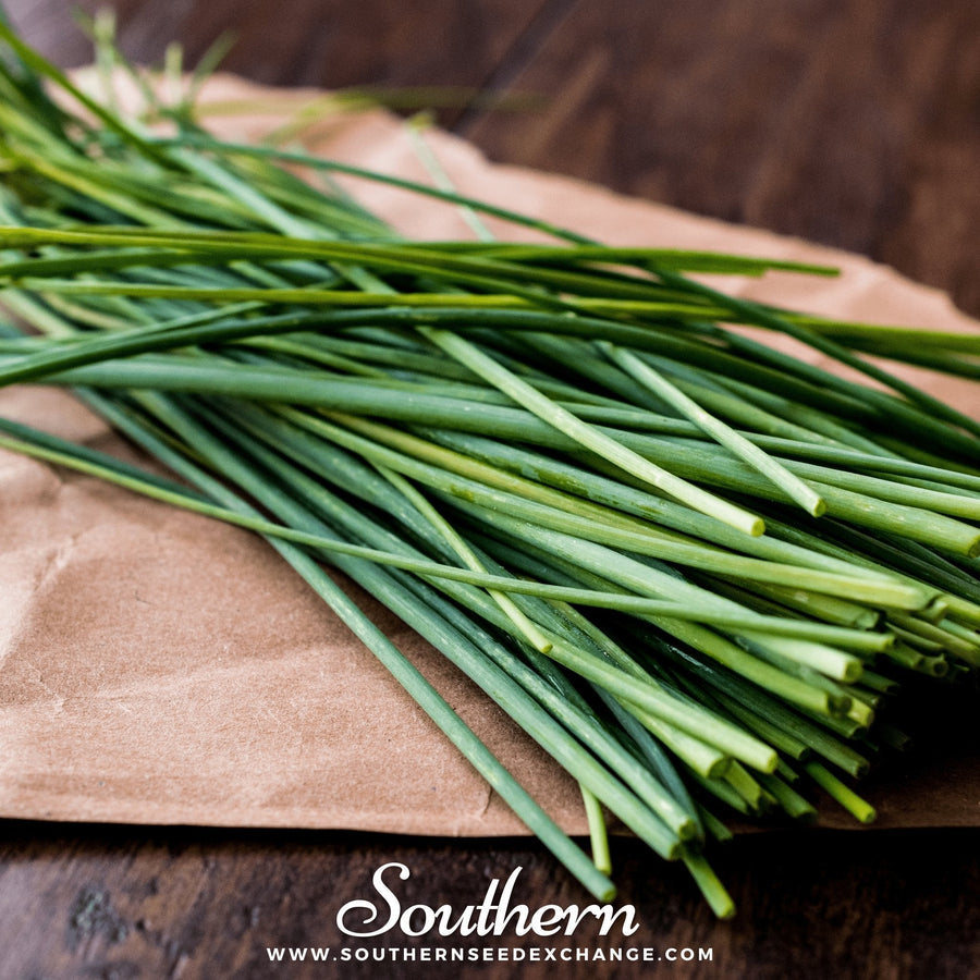 Chives – 100 Seeds
