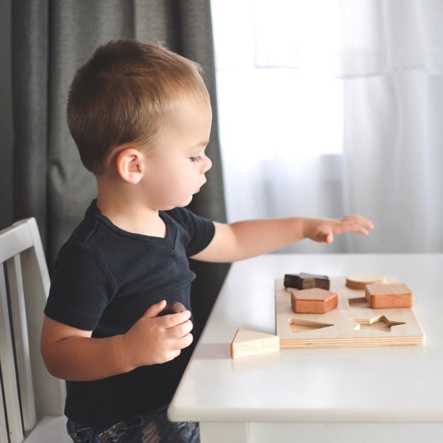 Chunky Wooden Shape Puzzle: 6 Shapes & Birch Base