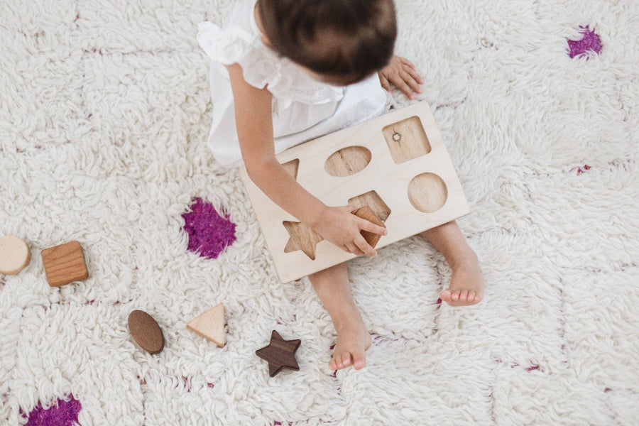 Chunky Wooden Shape Puzzle: 6 Shapes & Birch Base
