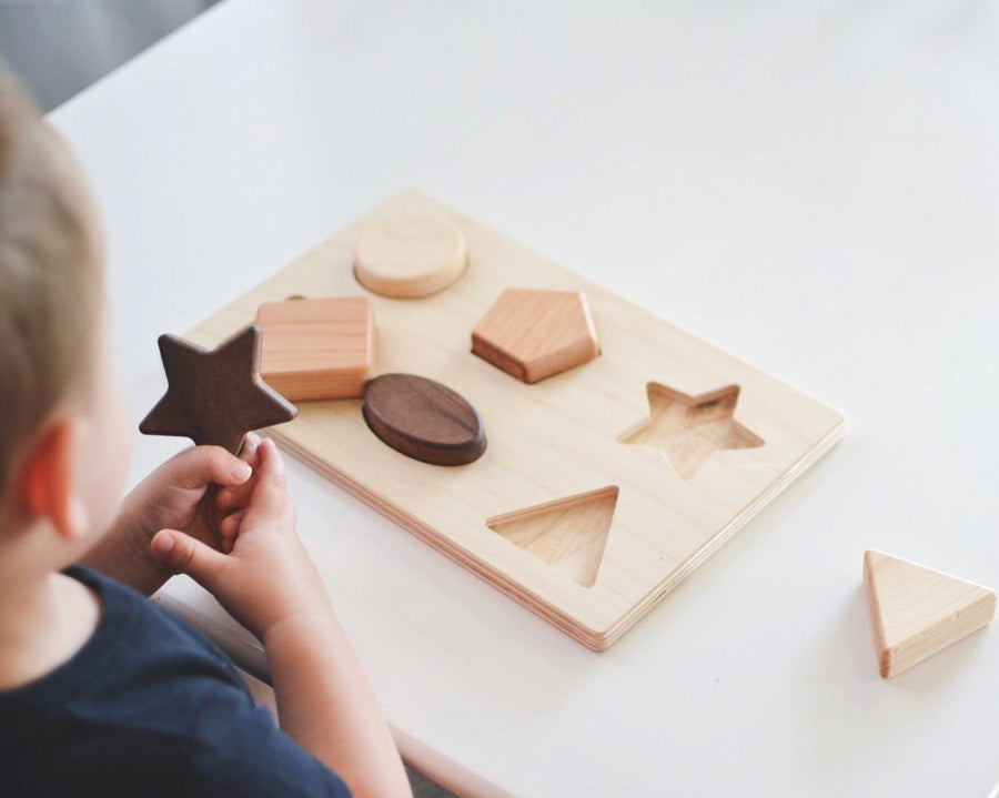 Chunky Wooden Shape Puzzle: 6 Shapes & Birch Base