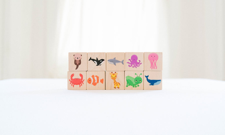 Wooden Color Learning Blocks: 10-Piece Maple Set