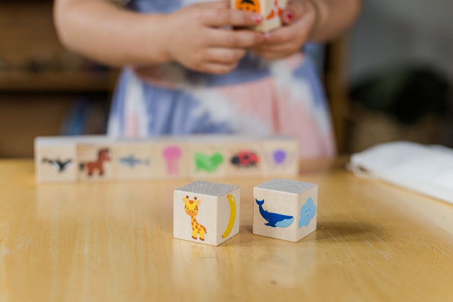 Wooden Color Learning Blocks: 10-Piece Maple Set