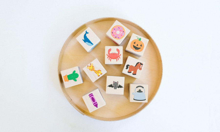 Wooden Color Learning Blocks: 10-Piece Maple Set