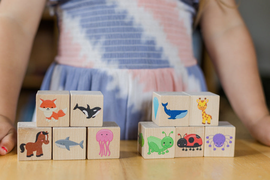 Wooden Color Learning Blocks: 10-Piece Maple Set