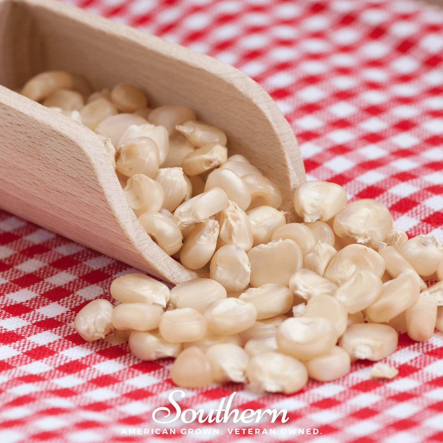 Stowells Evergreen Sweet Corn – 30 Seeds