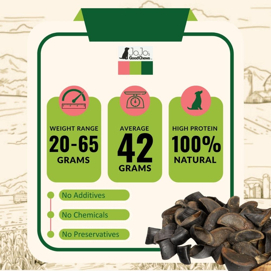 All-Natural Cow Hooves Dog Chews – Premium Crunchy Treats for Dental Health – (25/Case)