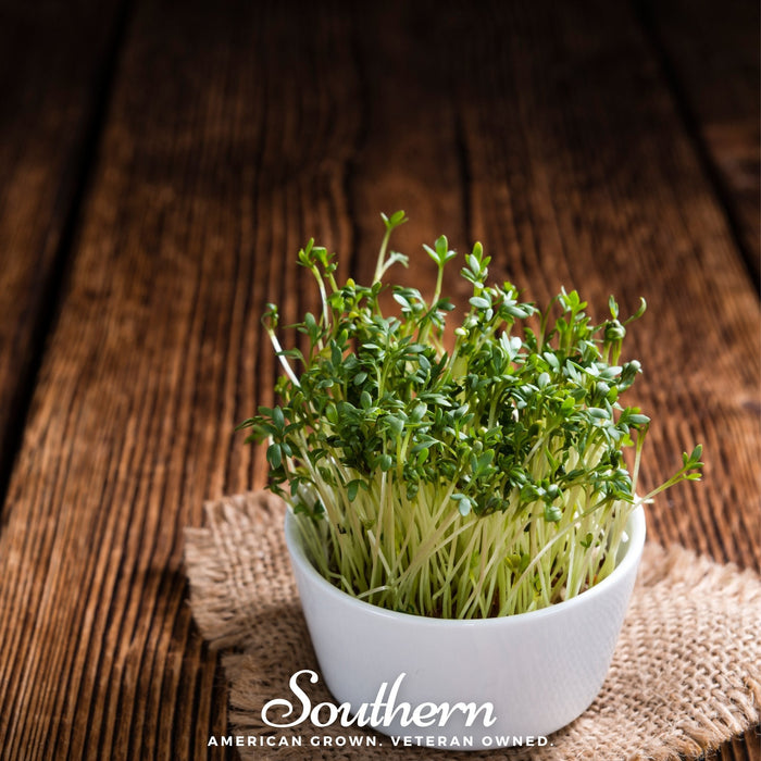 Pepper Cress