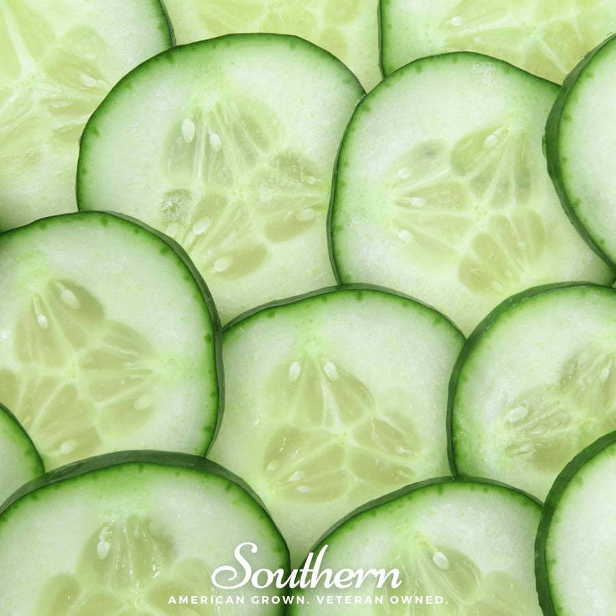 Spacemaster Cucumber – 30 Seeds