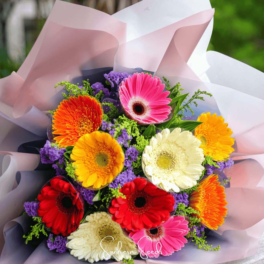 Gerbera Daisy Mix