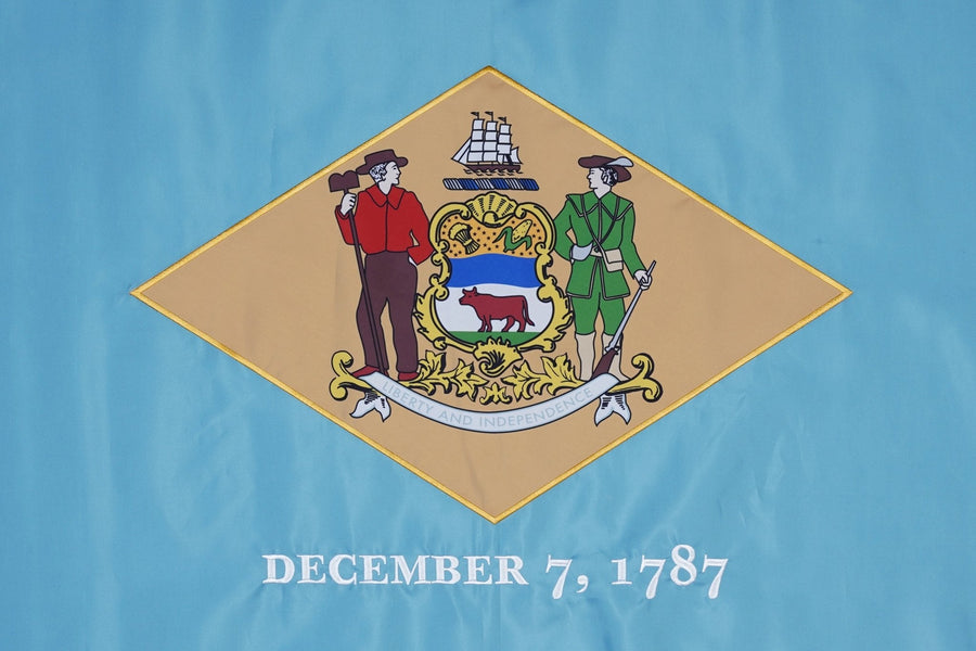Delaware state flag close-up with coat of arms and buff diamond