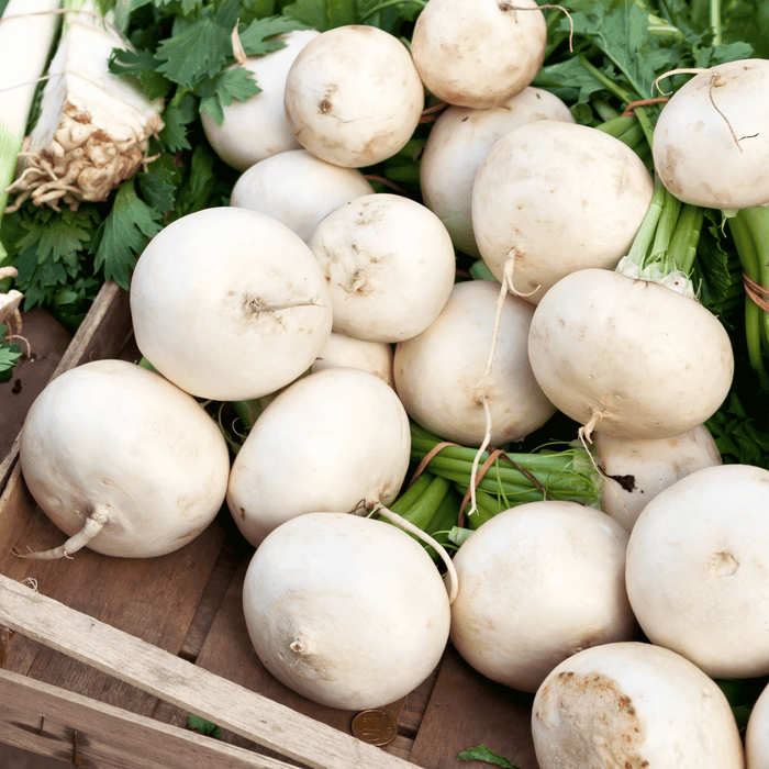 Detroit White Beet