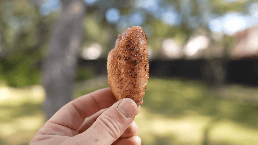Dill Pickle Seasoning Rub – Tangy BBQ Blend – product photograph 3 of 7 at buyamerican.mom