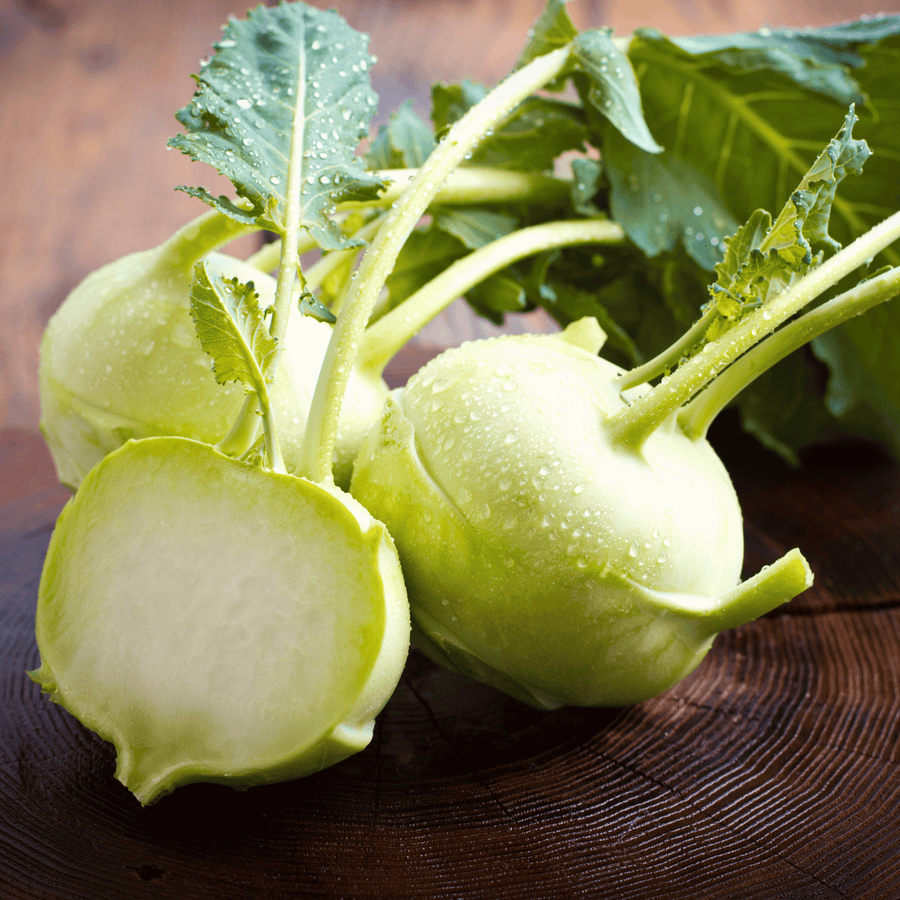 Early White Vienna Kohlrabi
