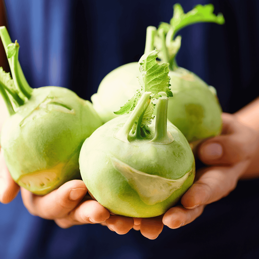 Early White Vienna Kohlrabi