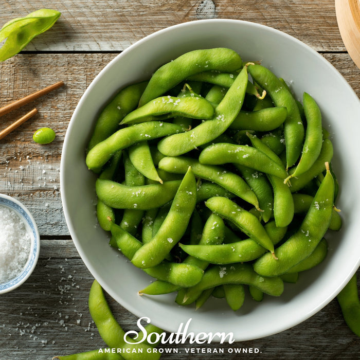Be Sweet Edamame Soybean (Bush)