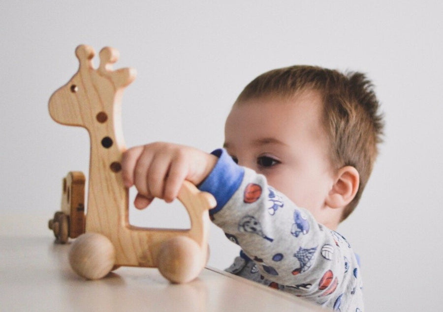 Wooden Giraffe Push Toy: Maple, Cherry & Walnut