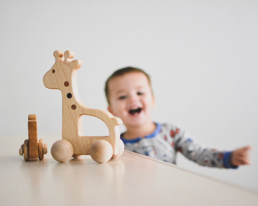 Wooden Giraffe Push Toy: Maple, Cherry & Walnut