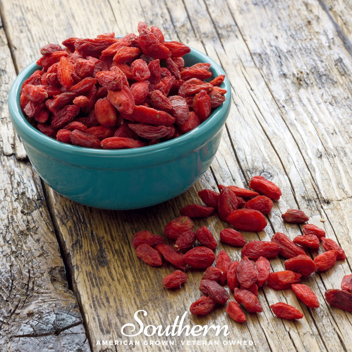 Goji Berry