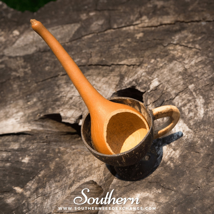 Dipper Gourd