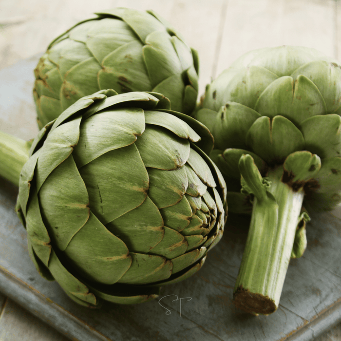 Green Globe Artichoke – 25 Seeds