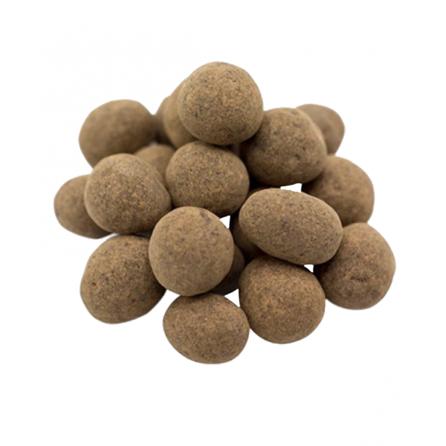 Product photograph for Chocolate Covered Sprouted Hazelnuts