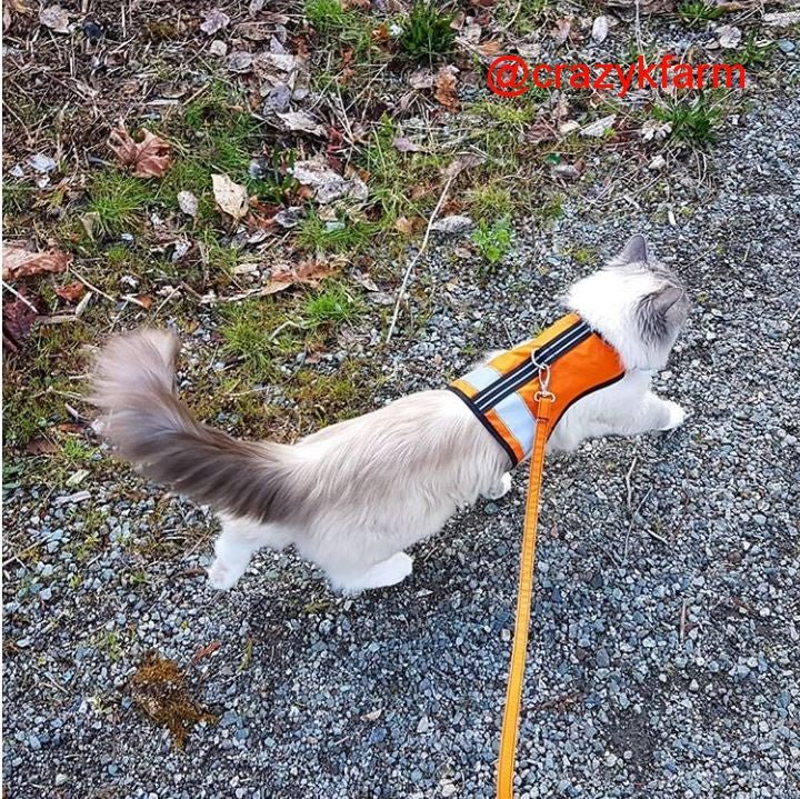 Holster Leash (Made in USA)