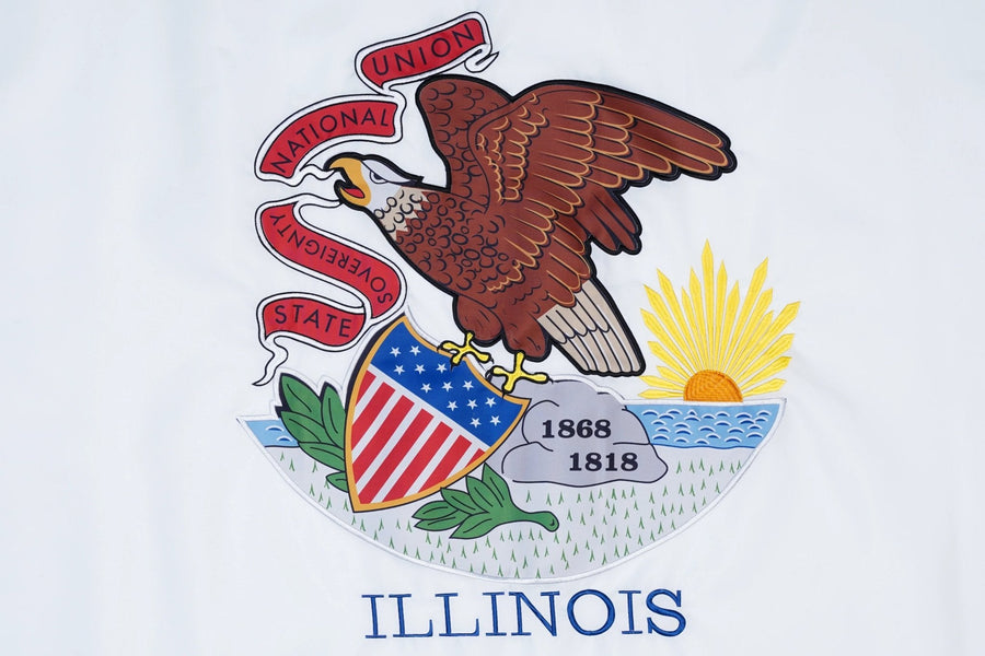 Illinois state flag close-up with state seal and Illinois lettering