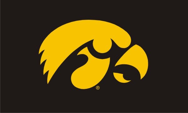 Iowa Hawkeyes 3x5 sewn appliqué NCAA flag made in USA
