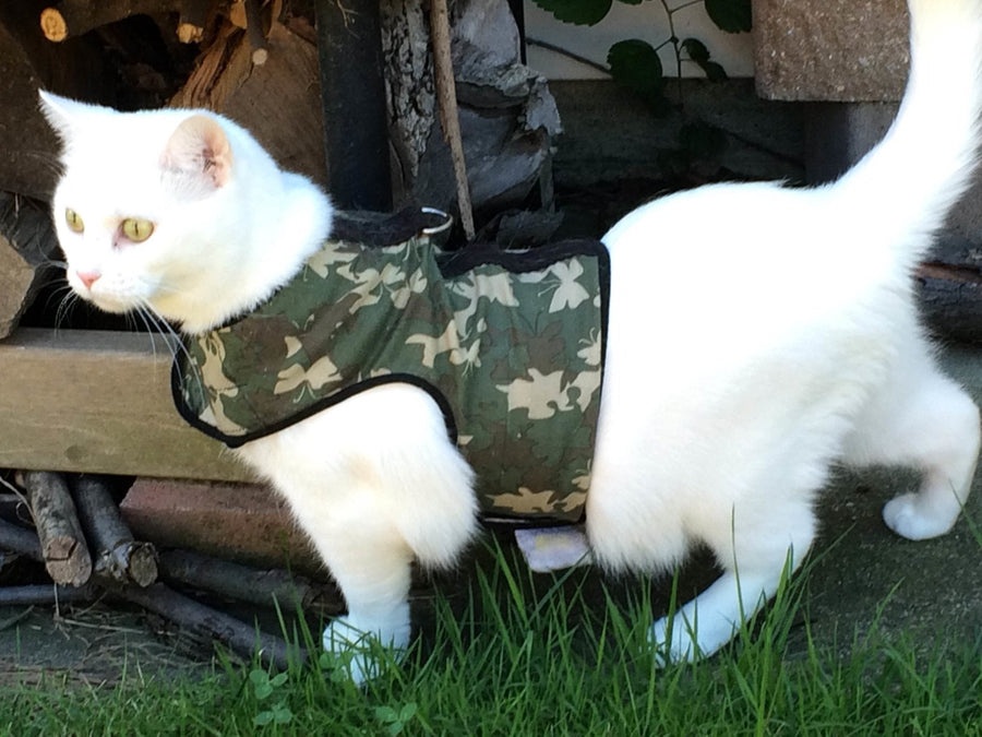 Kitty Holster® Escape-Resistant Cat Harness – Made in USA