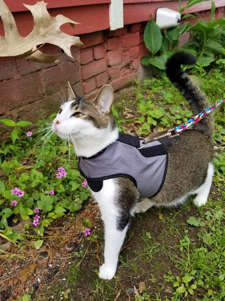 Kitty Holster® Escape-Resistant Cat Harness – Made in USA