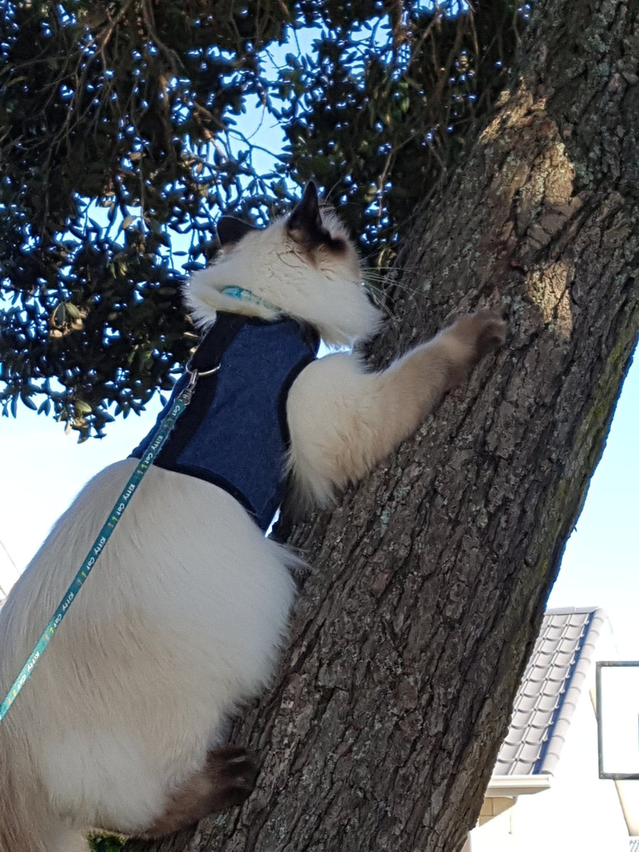 Kitty Holster® Escape-Resistant Cat Harness – Made in USA
