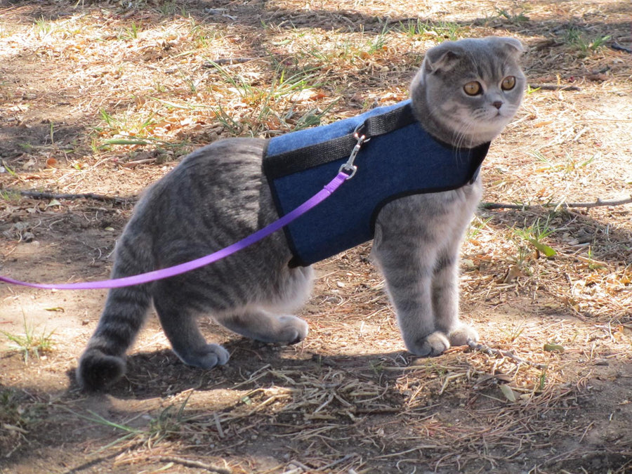 Kitty Holster® Escape-Resistant Cat Harness – Made in USA